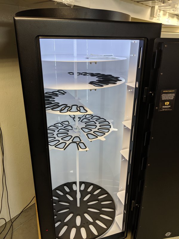 MVIMG_20190703_152749.jpg